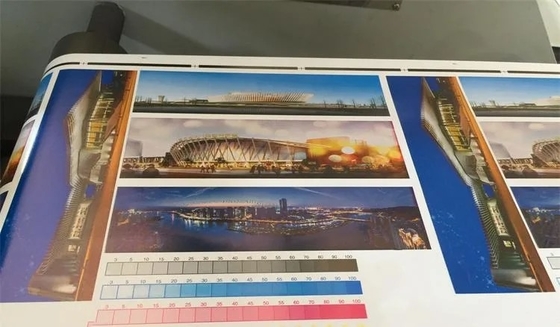 4 anchura de impresión máxima de Flexo Printer#450mm de la etiqueta de la exactitud de la impresora de la etiqueta de Flexo del rollo del color 320m m 80m/Min#±0.1m m
