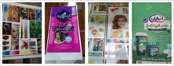 Seis impresoras de alta velocidad de Flexo de los colores