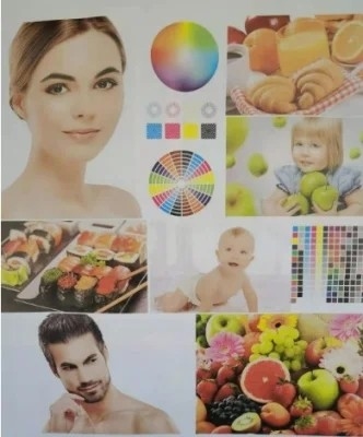 Máquina de impresión flexográfica de 2 colores para película plástica, papel, papel de aluminio, tela no tejida y rollos de papel
