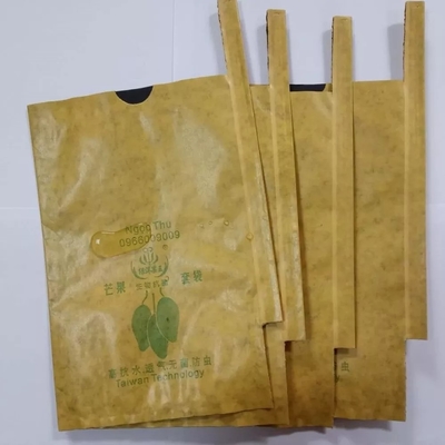 Bolsa de papel de Kraft de la fruta del mango que hace la máquina 3KW automática