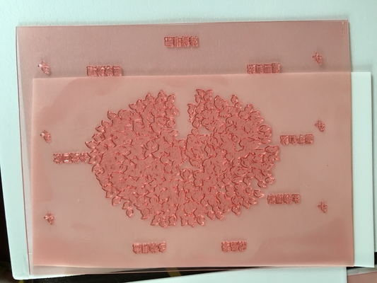 Resina de alta velocidad del nilón de cliché de Photopolymer Flexo 1.7m m